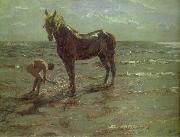 Bathing of a Horse